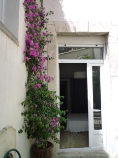 Appartement Avignon centre intra muros Cour extérieure Parking privé gratuit - Avignon - 1