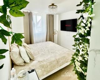 Naturally Suite - Calais - 0