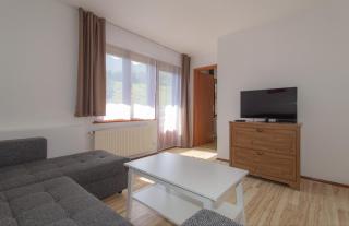 Nad tunelom apartment Bohinj - Bohinj - 0
