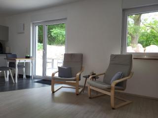 FeWo am Neckarsteig mit Anbindung an Heidelberg - Neckarsteinach - 7