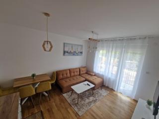 Nina Apartman 3 - Soko Banja - 7