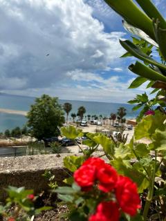 Coral Paradise Apartament in the first line of the sea - Sarandë - 4