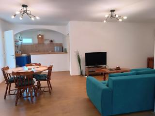 Villa Aurora - Sokobanja - 5