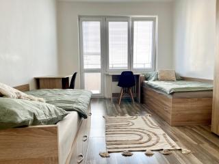 BUDDHA City Center Apartments - Ostrava - 0