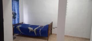 Los niditos - 2