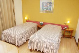 Hotel Bucsky - Nova Friburgo - 1