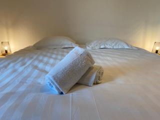 Les Cosy De Nancy - Urban Jungle - 4 étoiles - 8