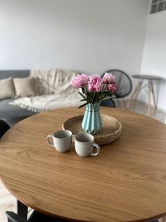 Scandinavian style ap near Vivo Mall - Floreşti - 3