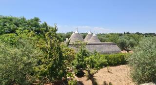Trullo CLAF - 4