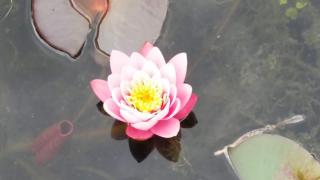 Drenthse-Groninger landschap - 2