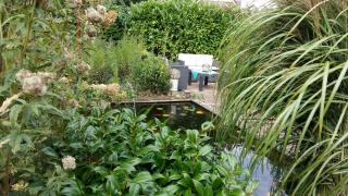 Drenthse-Groninger landschap - 1