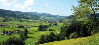 Gasthaus Zum Wilden Mann - Welschensteinach - 3