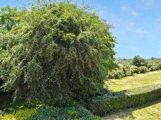 The Annexe The Roost - Godshill - 8