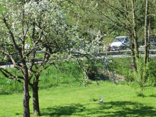 Haus am Wilde Aar - 5