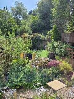 Middleway Cottage - Saint Blazey - 3