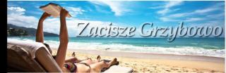 APARTAMENT ZACISZE - Grzybowo - 0
