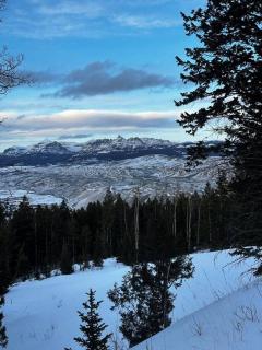 Beautiful Mountain Cabin near Tetons Yellowstone - Dubois - 1