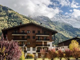 Appartement avec balcon, parking extérieur et WiFi à Chamonix - FR-1-343-245 - Chamonix - 7