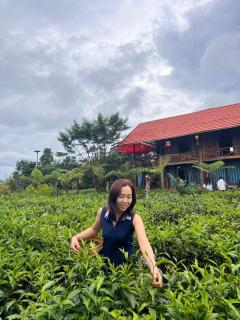 Tea Garden House - Xã Tân Phát - 9