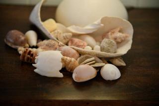 Seasons - Beachfront- Amazing views - 4