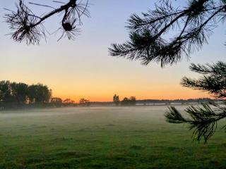 Żurawi Staw- siedlisko obok Augustowa - 2