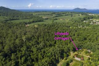 Lillypads Yellow Cottage - Rainforest Getaway - Mission Beach - 0