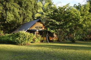 Lillypads Yellow Cottage - Rainforest Getaway - 3