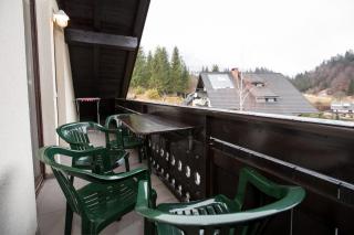 Apartment Planika - 1