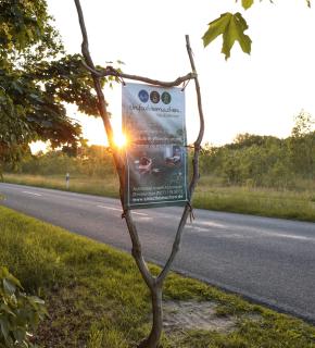 Einfachlosmachen-BulliBus - - 5