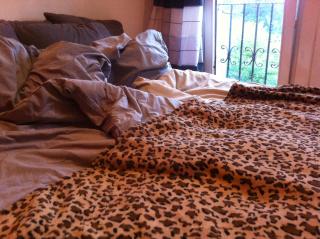 Schönes Loft über den Dächern - 4