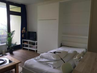 Ferienwohnungen Bayerischer Wald mit Pool - Freyung - 4