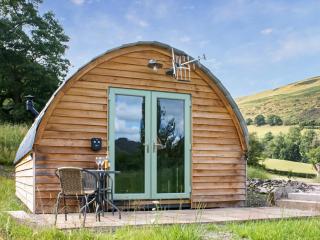 Barcud Coch - Uk44539 - Hirnant - 7