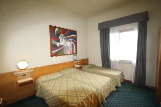 Hotel Europa - Signa - 7