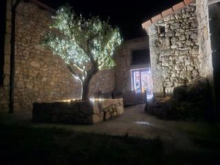 Villa & Spa Luxuria -  - 2