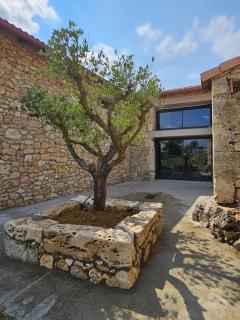 Villa & Spa Luxuria - - 8