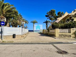 PINO ALTO - Miami Platja - 1
