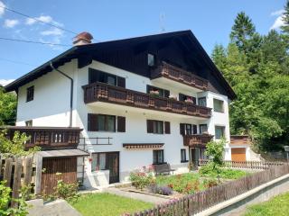Haus an der Sonne FeWo 2 - Biberwier - 9