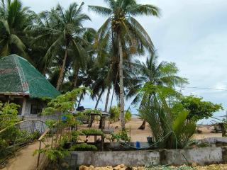Tiliponan Nipa Hut - Buenavista - 4