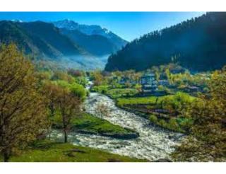 Hotel Sheikh Palace, Srinagar - Srinagar - 0