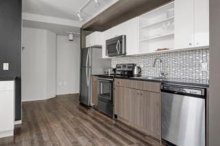 Downtown 1BR w Luxury Amenities Rooftop Views BOS-503 - Boston - 6
