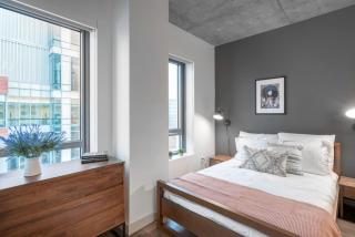 Comfy Kendall Sq Studio w Gym nr MIT BOS-35 - Cambridge - 5