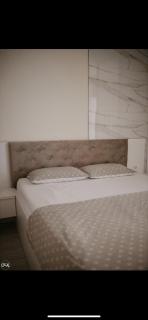 Luxury Apartment - 1