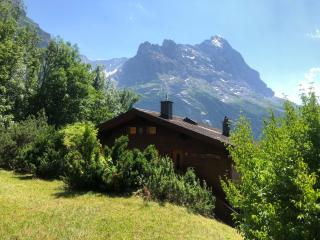 Apartment Chalet Sunneblick by Interhome - Grindelwald - 1