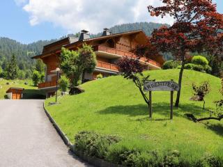 Apartment Argentière 3 by Interhome - Villars-sur-Ollon - 0