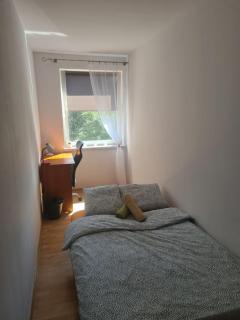 Sweet Home & Sweet Cats & Fast internet - Breslau - 9