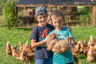 Camping Agrisalus - Arco - 4