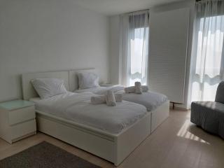 Casa Maria City Apartments - Timişoara - 1