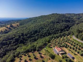 Holiday Home Enea by Interhome - Scansano - 5