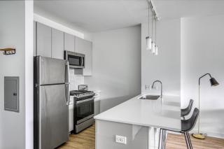 W Loop 1BR w Gym Pool in heart of Greektown CHI-533 - 4