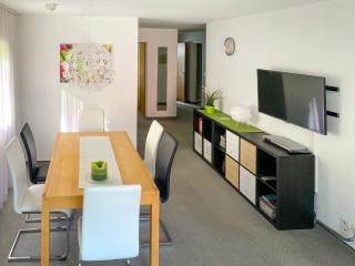 Apartment Apt D 045 by Interhome - Disentis - 4